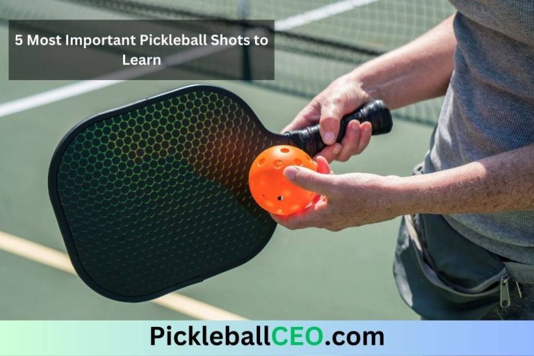 5 Most Important Pickleball Shots to Learn